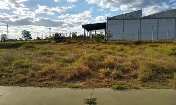 Imagem 2: Terreno - Pq Novo Mundo