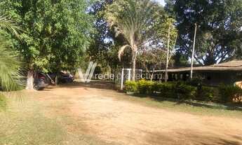 Imagem 4: área - Cidade Universitária - Campinas