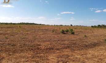 Imagem: Fazenda em Tocantins Aptidão para grãos