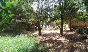 Imagem 5: EXCELENTE TERRENO CENTRAL