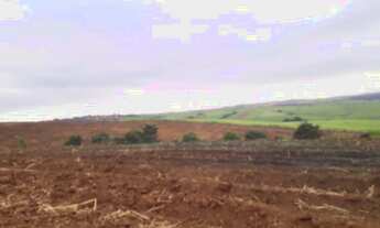 Imagem 5: Fazenda 46 Alqueires, Região de Piracicaba-Sp