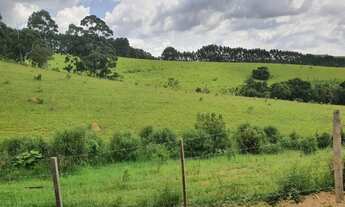 Imagem 14: Fazenda em andradas m.g 396 hectares 17.000.000.00 ( dim