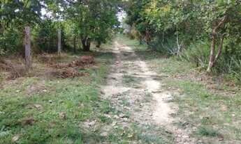 Imagem 3: Sítio em Viana Fazenda / sítio com venda por R$70.000