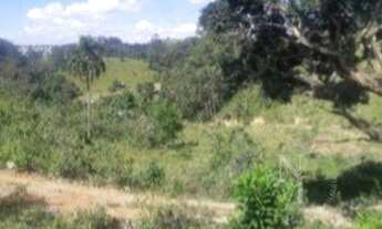 Imagem 3: Itaquaquecetuba - Loteamento/Condomínio - Pinheirinho