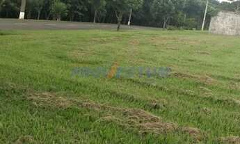 Imagem 4: Terreno - Pinhalzinho - Jaguariúna