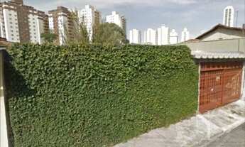 Imagem: São Paulo - Casa Padrão - Jardim Record