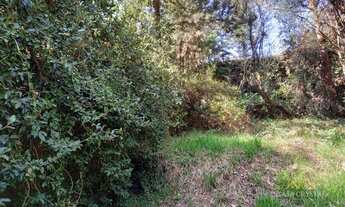 Imagem 5: Terreno à venda, 1000 m² por R$ 1.100.000,00 - São Paulo II - Cotia/SP