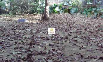 Imagem 5: Terreno à venda, Vila da Saúde, 500m²!