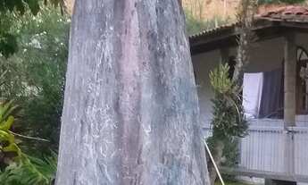 Imagem 2: Excelente Oportunidade em Venda Nova do Imigrante-ES