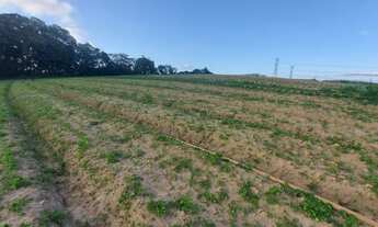 Imagem 15: Lote/Terreno para venda possui 600 metros quadrados em Jardim Bandeirantes - São Roque - S