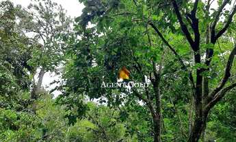 Imagem 3: Terreno plano 2.106 M² excelente para construtoras