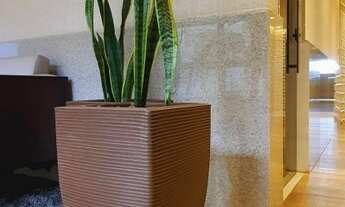 Imagem 4: Apartamento à venda no bairro Floresta - Belo Horizonte/MG