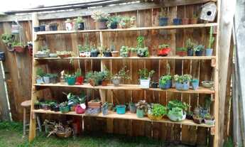 Imagem 7: Sítio em Viana Fazenda / sítio com venda por R$130.000