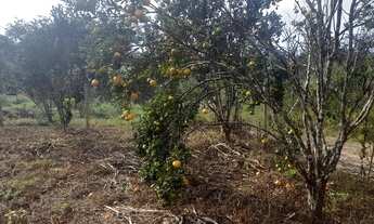 Imagem 3: Lindo lote em Brumadinho
