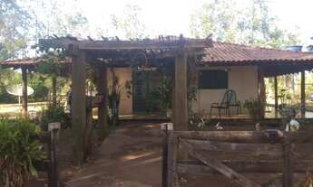 Imagem 3: Fazenda de 204 hectares. dupla aptidão