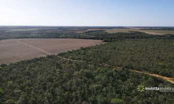 Imagem 3: Fazendas em Tocantins