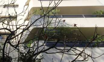 Imagem 1: COBERTURA DUPLEX ,reformada 4 suites 453m,com piscina