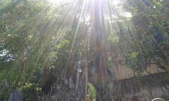 Imagem 4: ÓTIMA LOCALIZAÇÃO, RUA TRANQUILA, PRECISA DE REFORMA!!!