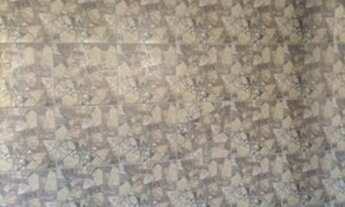 Imagem 6: Casa em Vila Lage