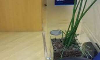 Imagem 6: COMERCIAL - BROOKLIN - SP