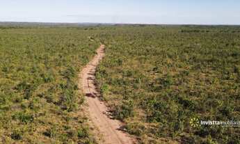 Imagem 6: Fazendas em Tocantins