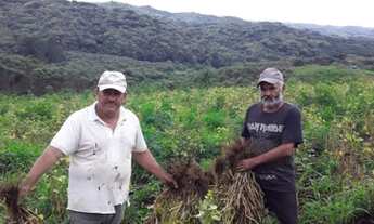 Imagem 3: Chácara Chácara com venda por R$270.000