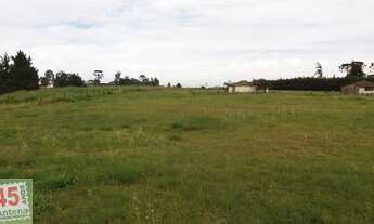 Imagem 6: Área para alugar por R$ 20000.00, 20000.00 m2 - QUISSISSANA - SAO JOSE DOS PINHAIS/PR