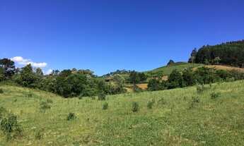 Imagem 7: Belíssimo Sítio com 21,00 ha Serra Catarinense