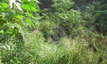 Imagem 7: Butantã! Terreno à venda, Granja Viana, Cotia - TE0027