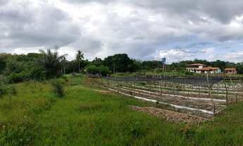 Imagem 7: Fazenda/Sítio/Chácara para venda tem 26910 metros quadrados com 3 quartos