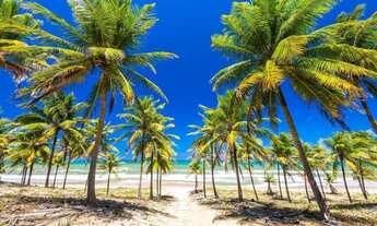 Imagem 5: Lote/Terreno na Reserva Imbassaí