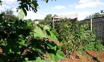 Imagem 4: Vendo chácara Chácara com venda por R$320.000