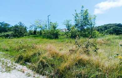 Imagem 8: Ola tudo bem? eu tenho uma oportunidade pra voçe de morar na praia. terreno em Catuama