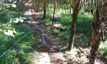 Imagem 3: Casa com terreno ,cabuçu nova Iguaçu