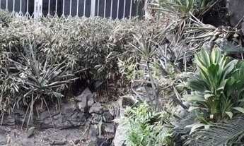 Imagem 5: Casa espaçosa na Vila Aricanduva próximo a estação do Metrô Vila Matilde