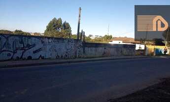 Imagem 6: TERRENO 5.000m² COLOMBO