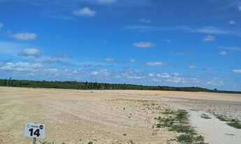 Imagem 3: Loteamento Lagoas Do Giral A 900 Metros Da Praia 2Km Do Centro Paracuru, n°:24