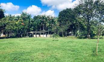 Imagem 4: Vendo sítio Benevides