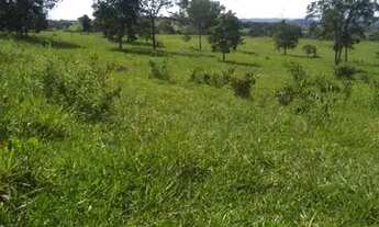Imagem 4: Terra em Itaberaí -GO - MUITO BOA