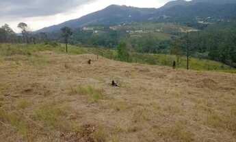 Imagem 4: Eu tenho o terreno certo para você que procura algo rural e bem localizado!!