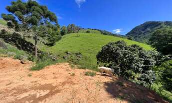 Imagem 3: Terreno à Venda 5 mil m² com platô pronto para construir