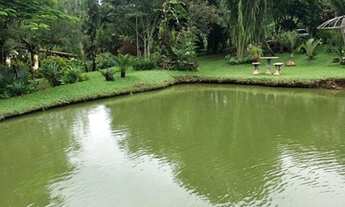 Imagem: Sítio de 6 Alqueires Região de Capetinga-MG