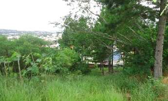 Imagem 4: Terreno para Venda - 0m², 0 dormitórios, Altos do Ipê