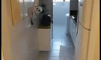 Imagem 7: Bouganville 67367 !