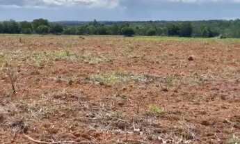 Imagem 5: . Uma fazenda 238 alqueires. 85 km de Pedro Afonso Tocan .. 2