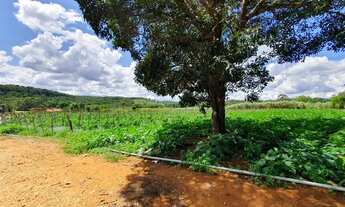 Imagem 4: Fazendinhas Planas com Terra para Plantio por 18.991 mais Pequenas Parcelas