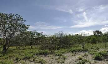 Imagem 2: Vendo Terreno localizado no Carneiro em Buíque