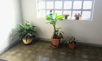 Imagem 3: Apartamento para Venda - 59.81m², 2 dormitórios, Jardim Lindóia