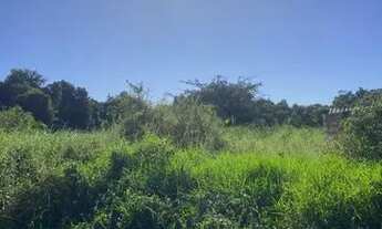 Imagem 3: Terreno de 420M² à venda - Jd. São Fernando