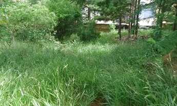 Imagem 6: Terreno para Venda - 0m², 0 dormitórios, Altos do Ipê